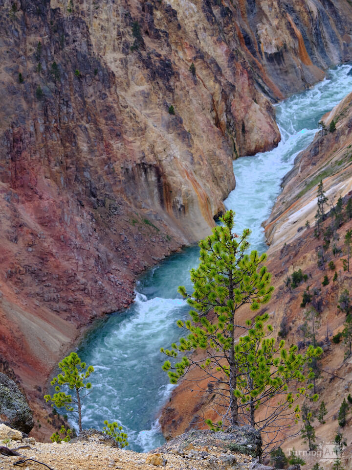 The Yellowstone River Through Yellowstone Canyon