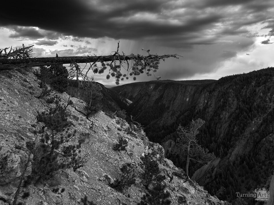 Storm over the Canyon of the Yellowstone I