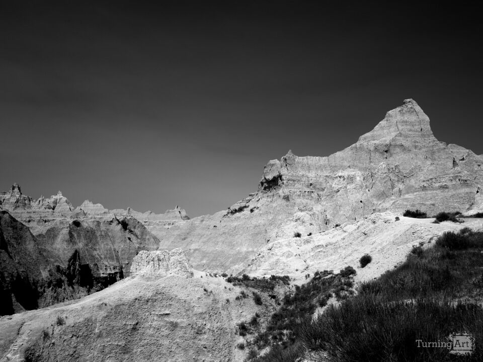 Black and White of the South Dakota Plaines