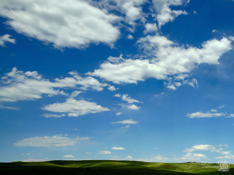 Big Sky, Little Grass - Montana