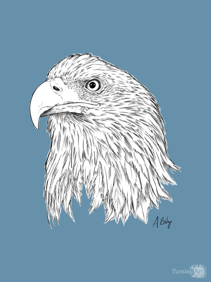 American Eagle