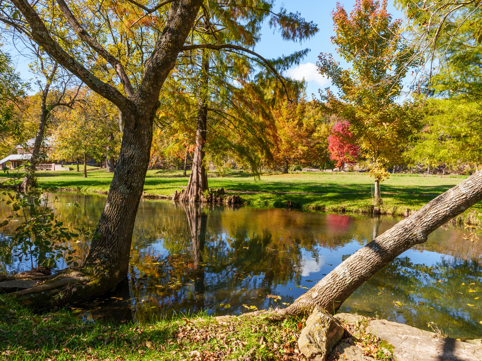 Jolly Mill Park Natural Spring Reflections