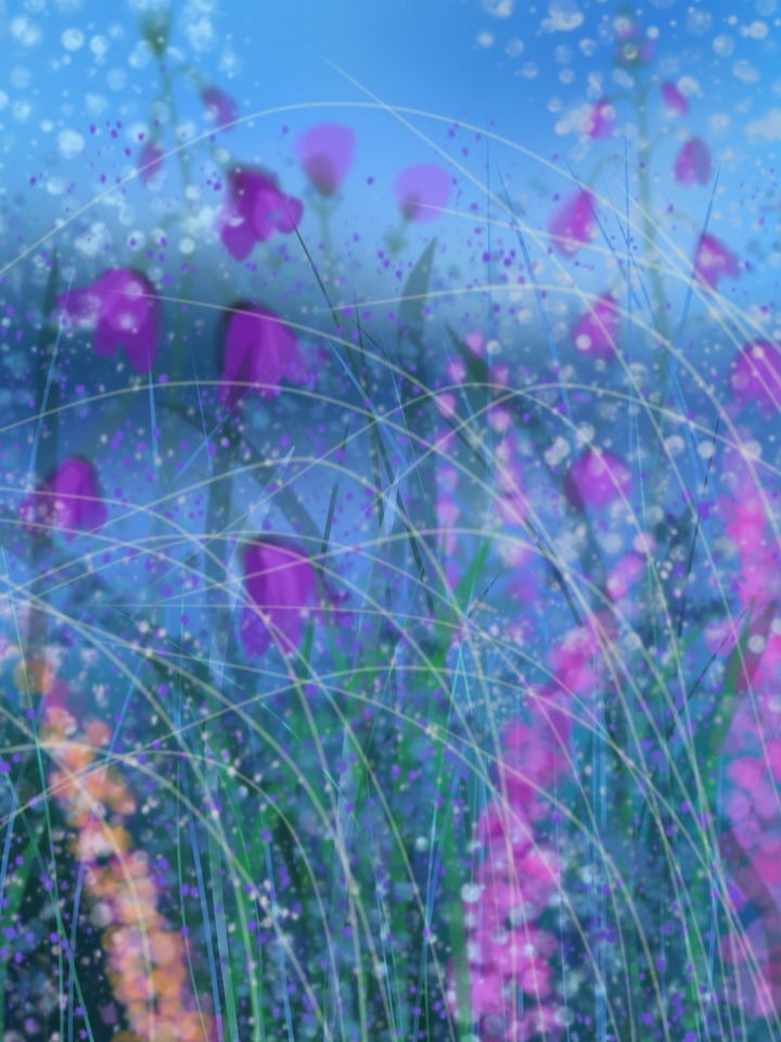  Endless Wildflowers