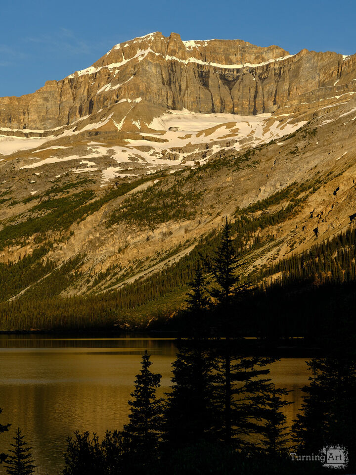 Sunrise on Bow Lake II