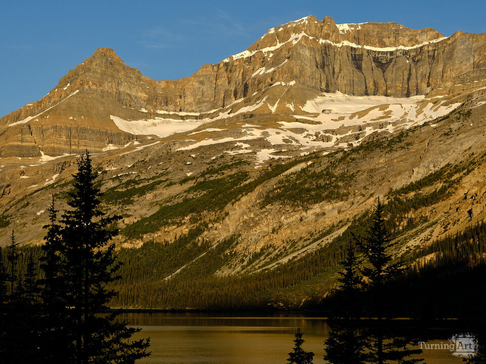Sunrise on Bow Lake III