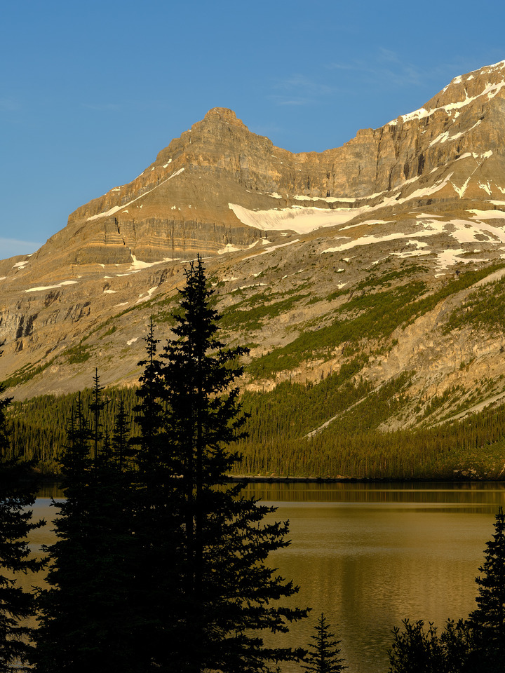 Sunrise on Bow Lake IV