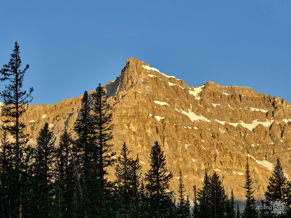 Canada's Waputik Range at Sunrise I