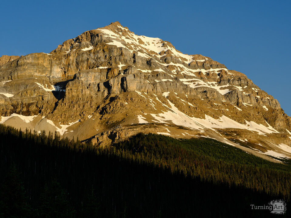 Canada's Waputik Range at Sunrise III