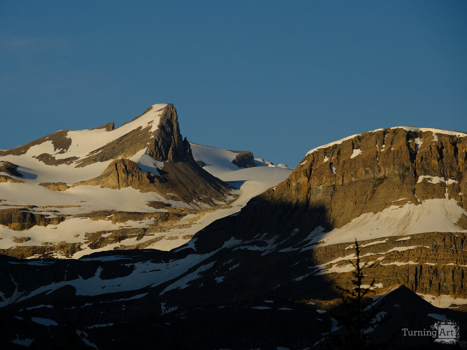 Gold Morning Light on the Waputik Mountain Peaks