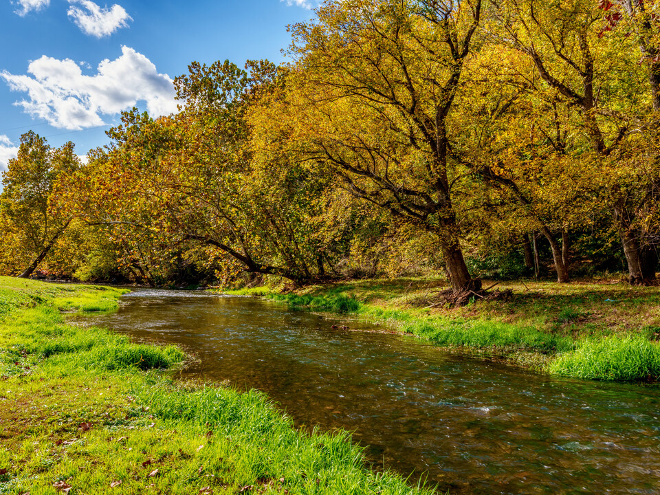 Capps Creek Fall Riverbank View