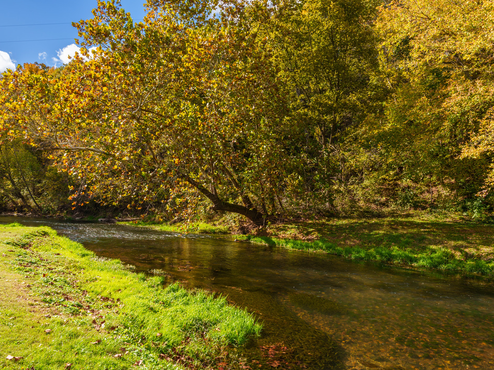 Glistening Fall Foliage Along Capps Creek