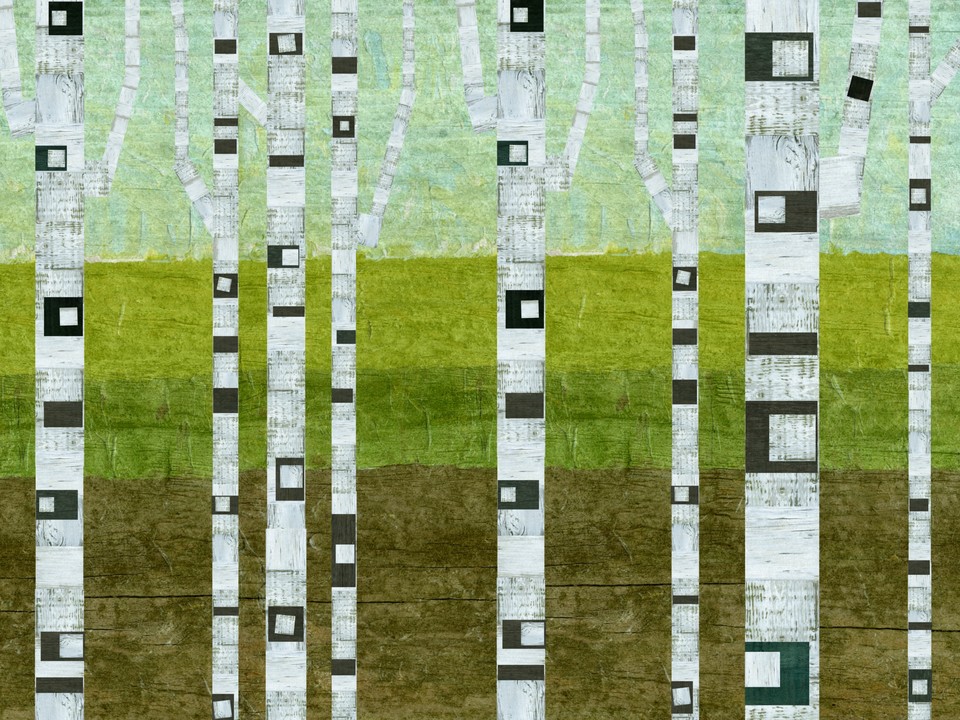 Summer Birches