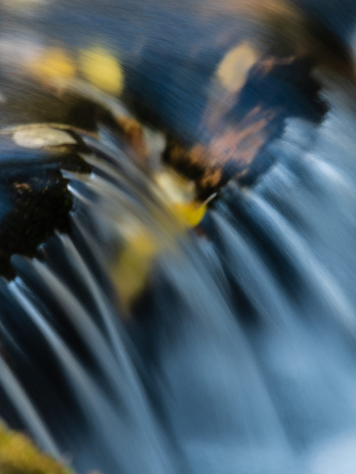 Abstract Autumn Cascade with Floating Leaves