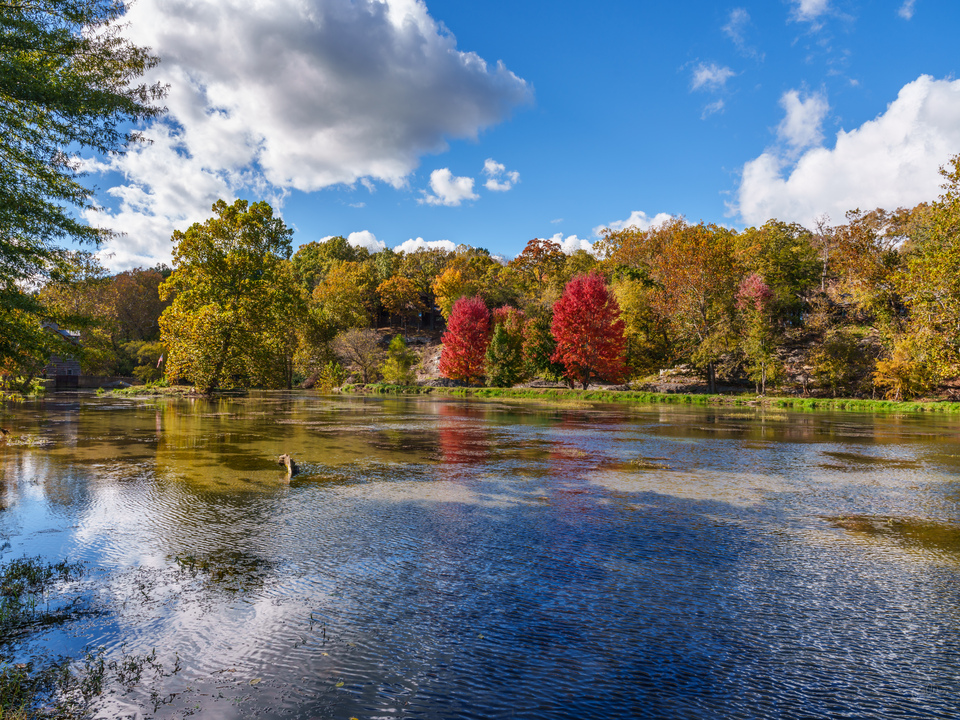Ripples Of Capps Creek In The Fall
