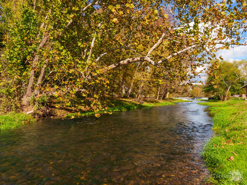 Golden Fall Along Capps Creek