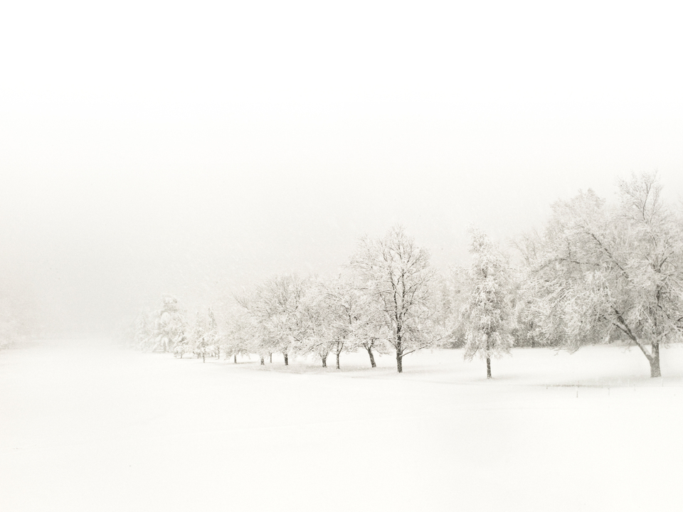 First Snow