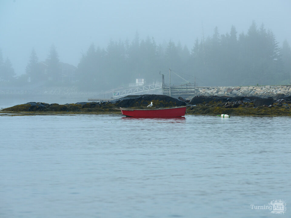Seagull On a Rowboat, Crescent Beach Maine I