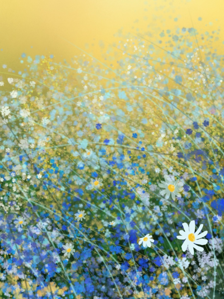 Daisies in the Grass