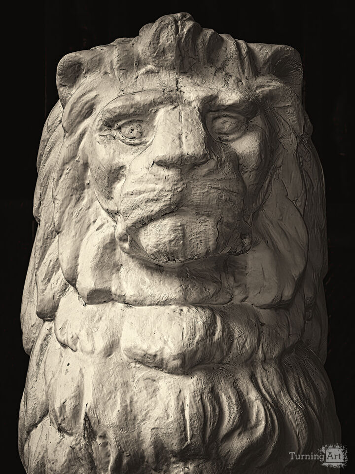 Lion Statue