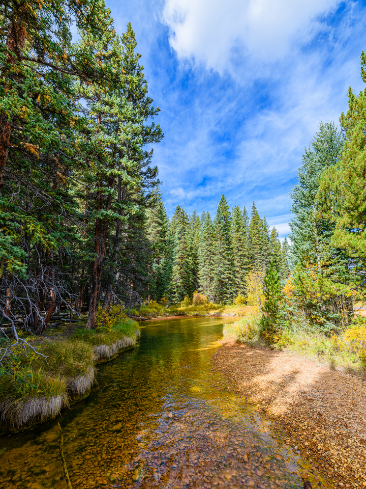 Geneva Creek, Guanella Pass, Colorado