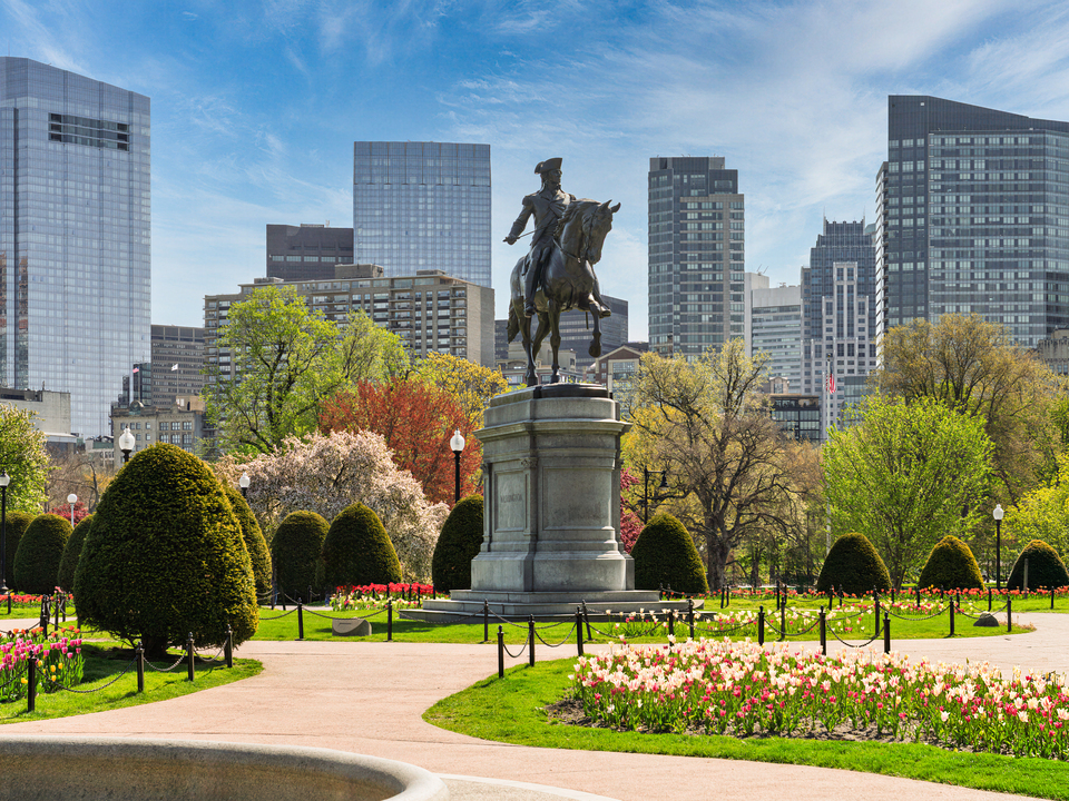 Spring Morning in the Boston Public Garden