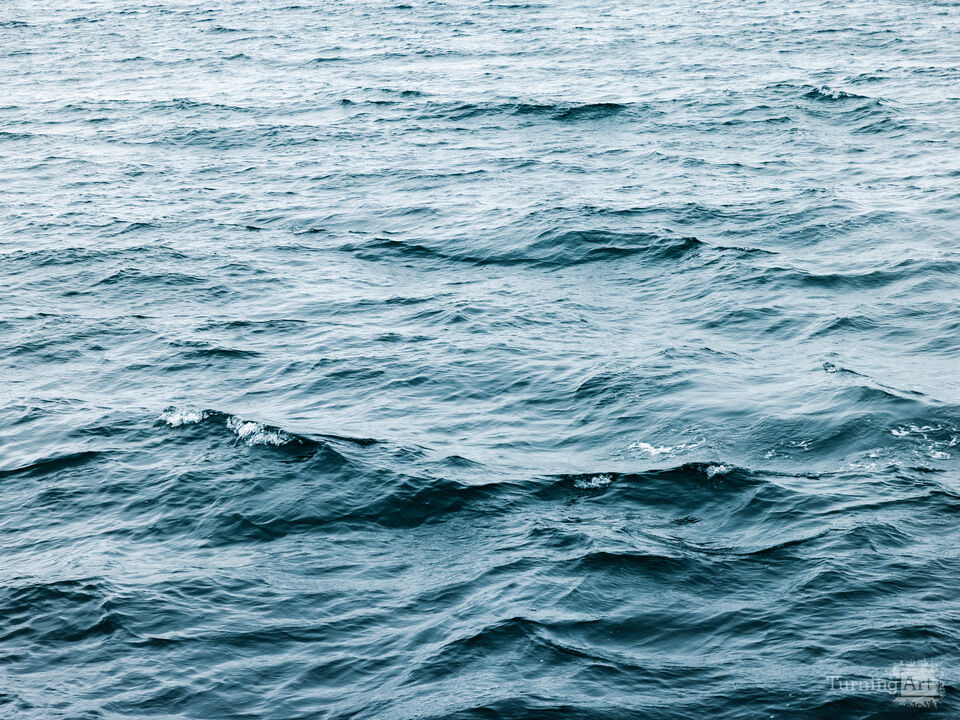 Deep Blue Sea