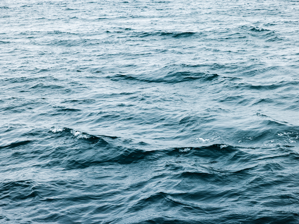 Deep Blue Sea