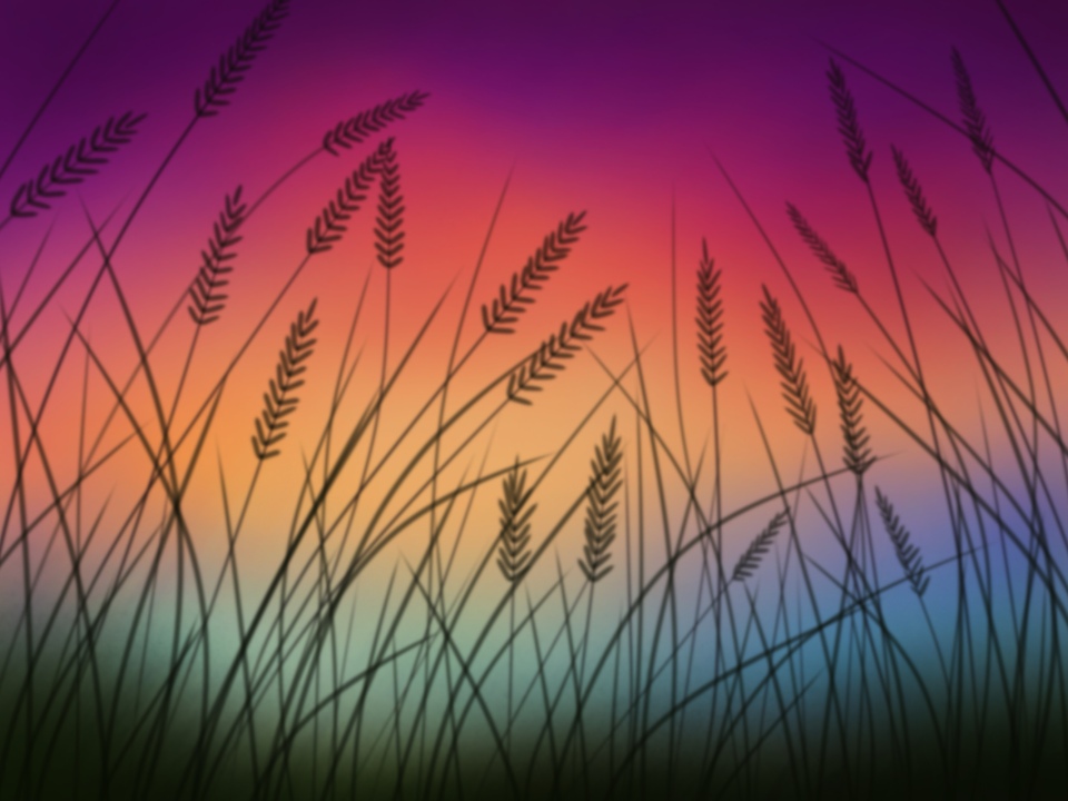 Grass On Evening Sky