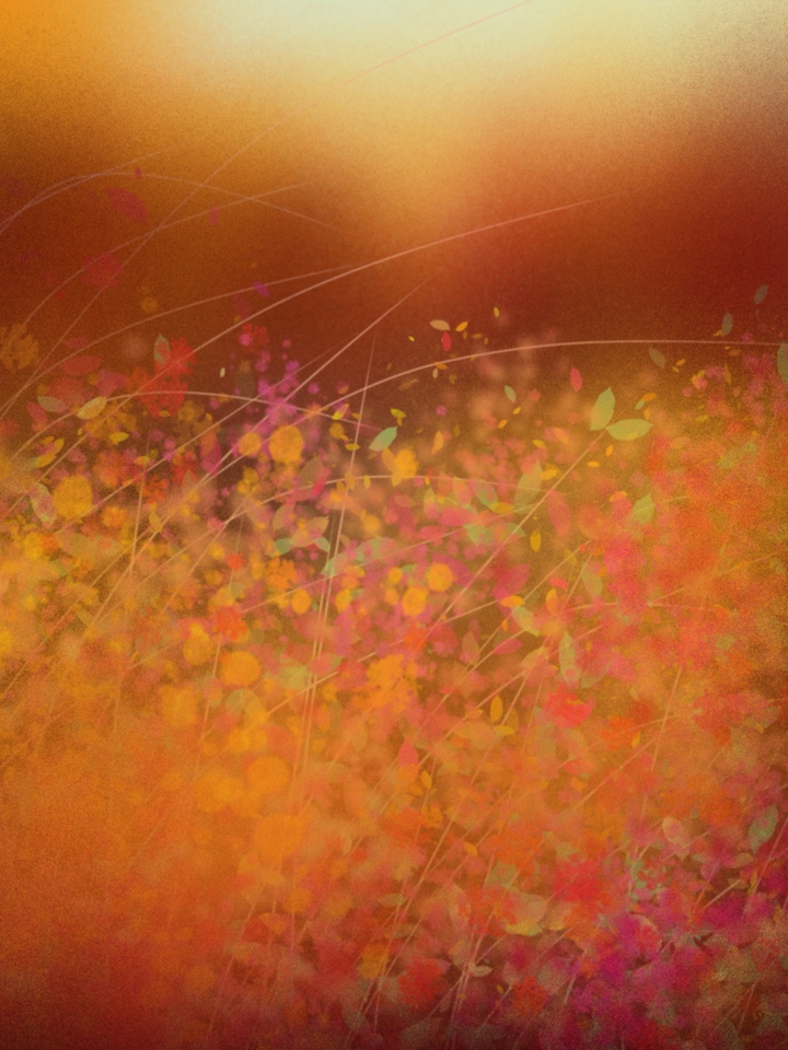 Late Autumn 