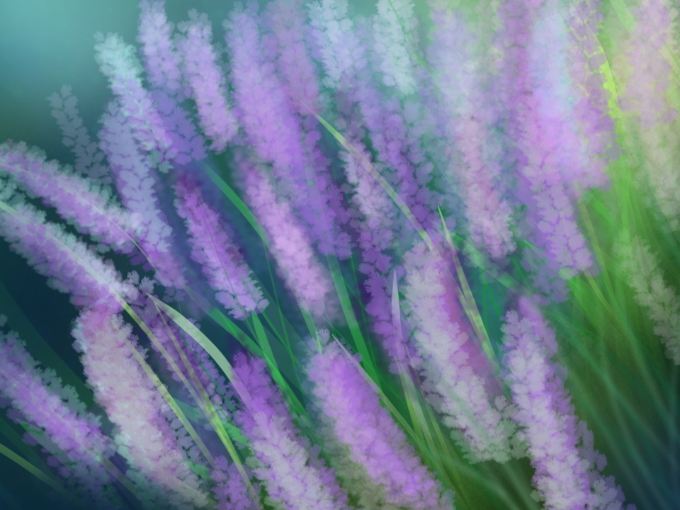 Lost in the Bloom