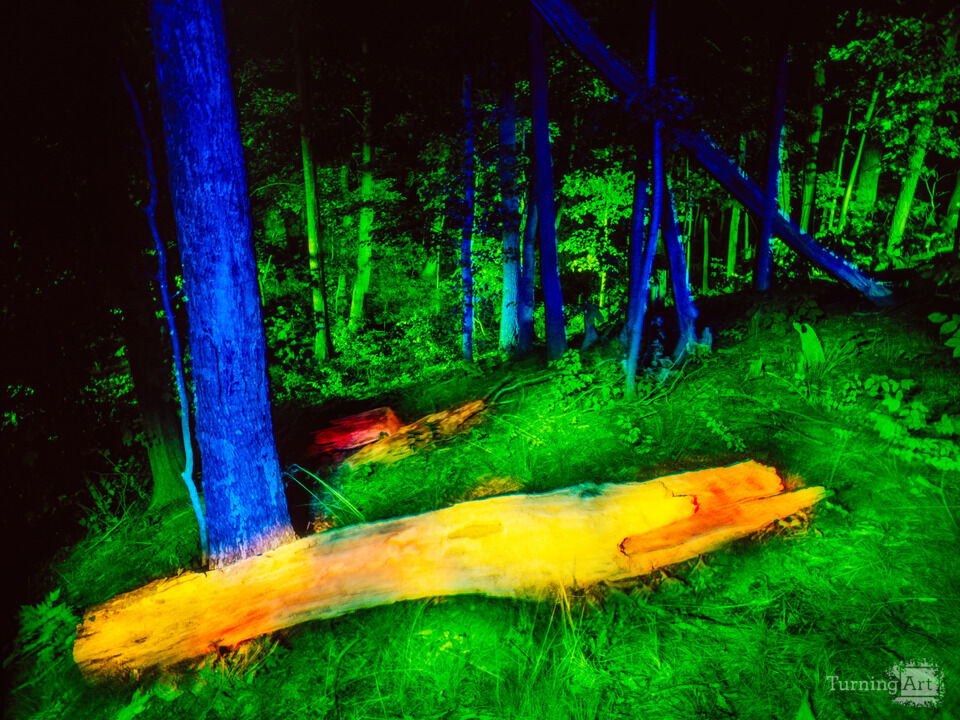 Into The Woods #10