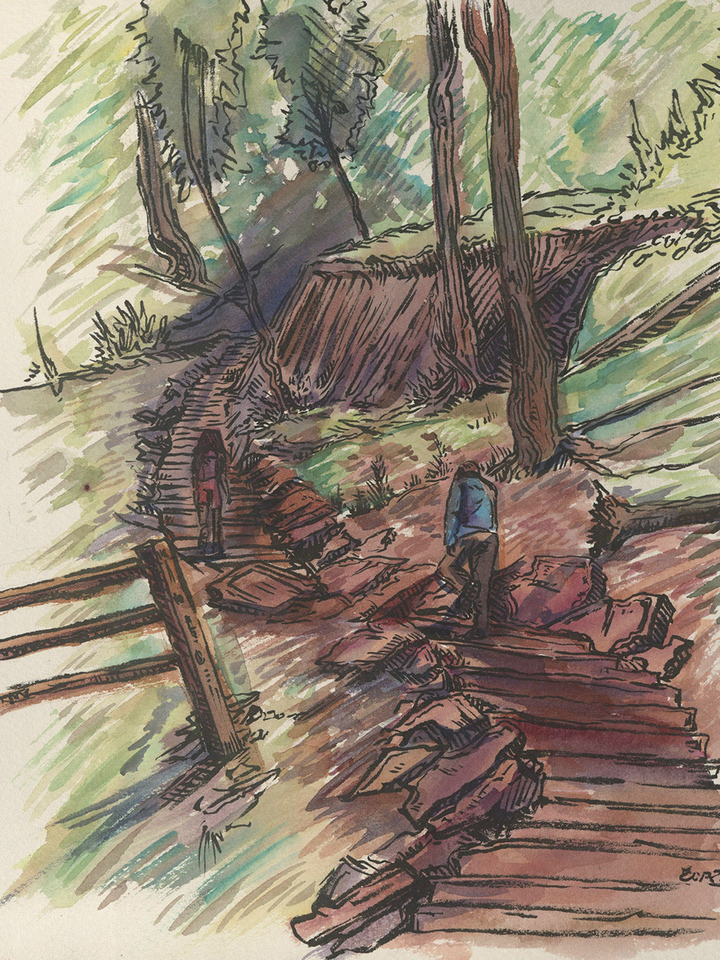Steps in the Catskills