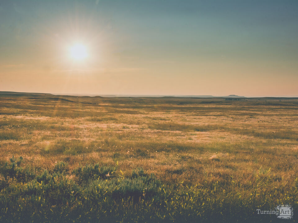 August Days