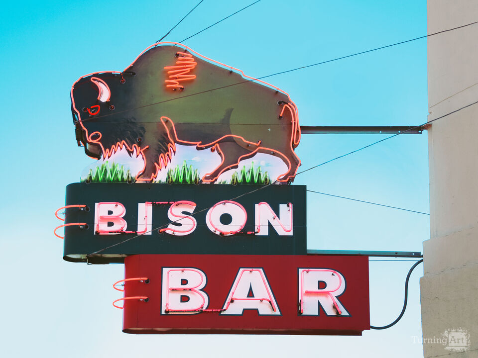 The Bison Bar
