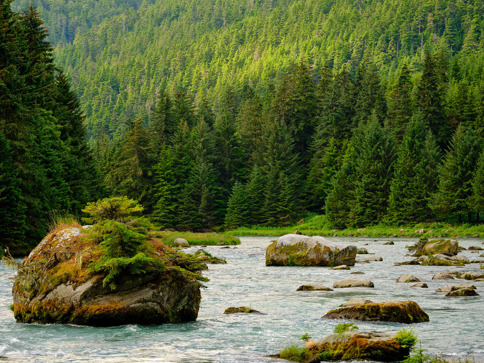 The Chilkoot River near Haines Alaska