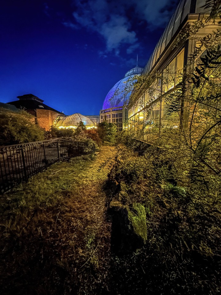 Belle Isle Conservatory After Dark