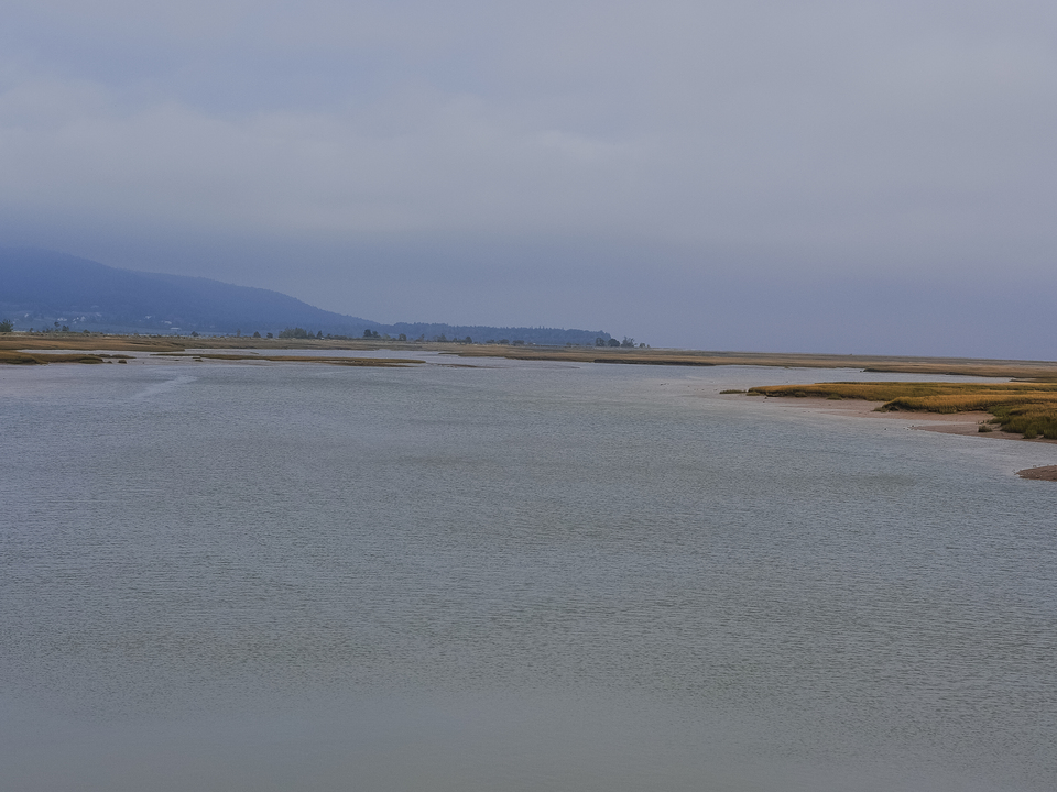 salt marsh study no. 18