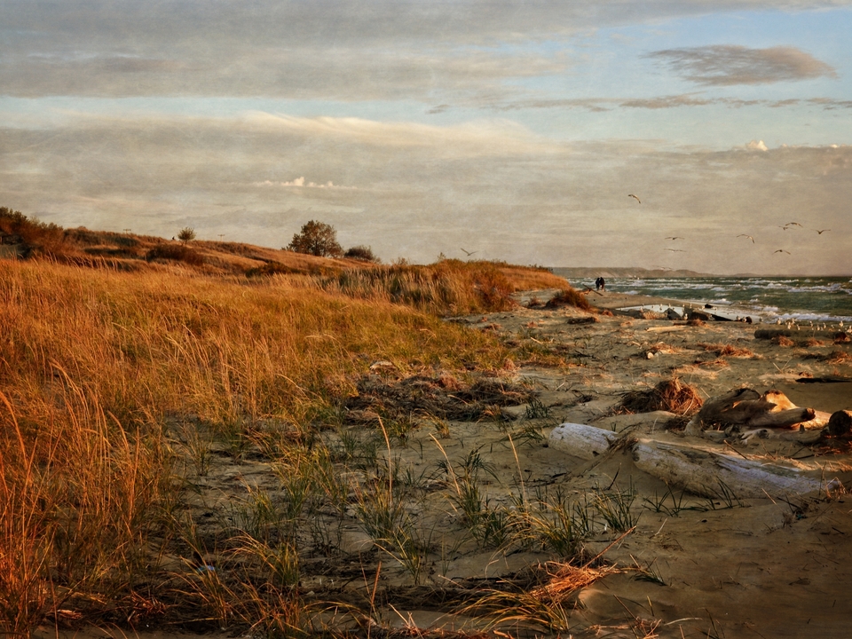 Autumn on the Shore
