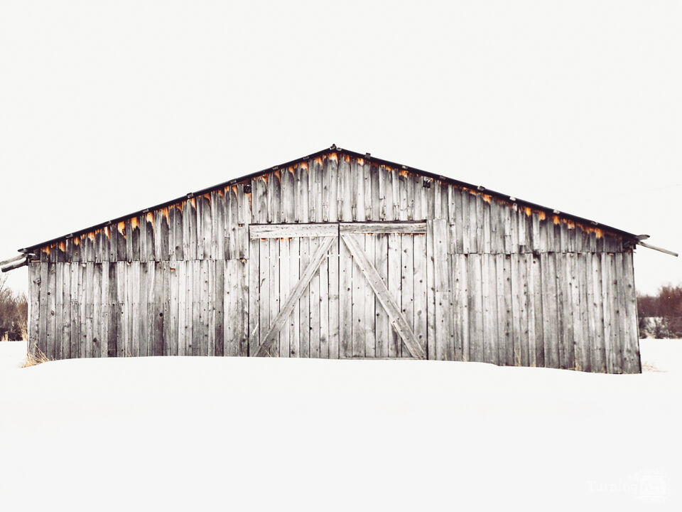 Winter Barn