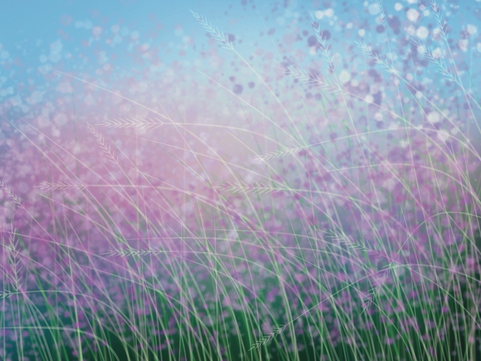 Gentle Blooms