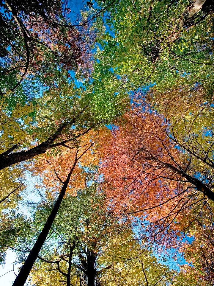 The Space Between, #3