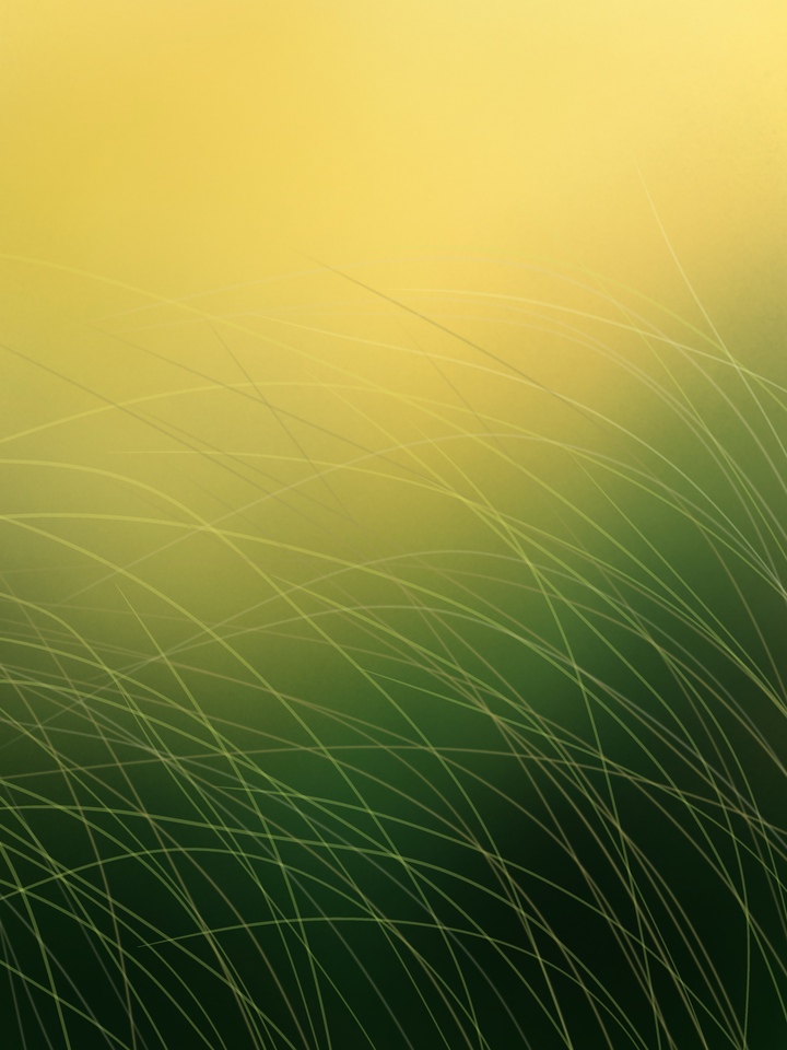  Rural Radiance