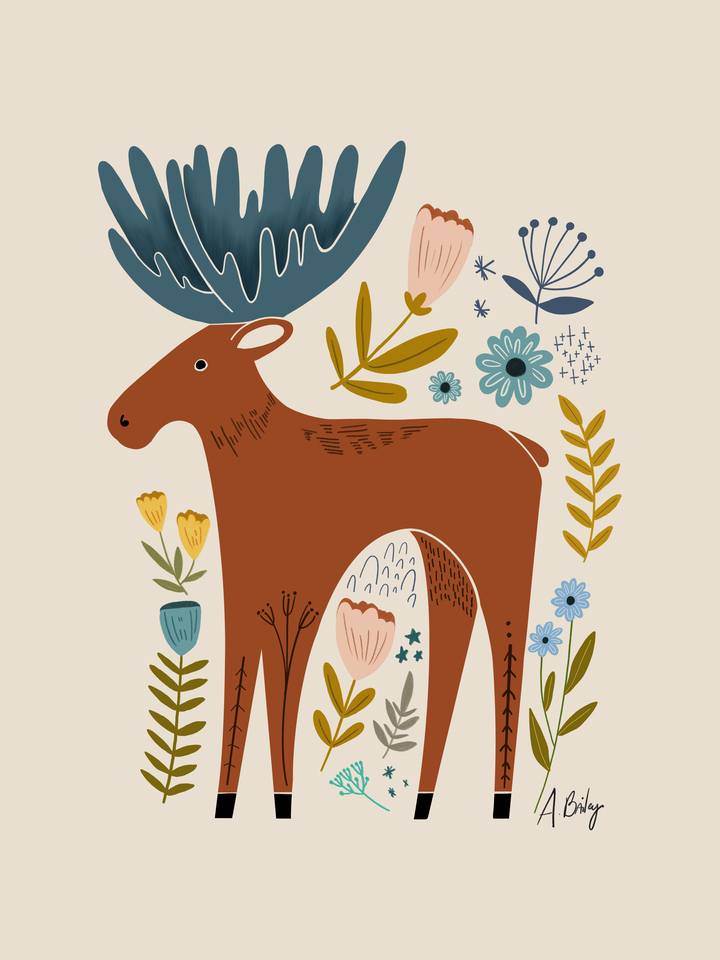 Moose and Meadow