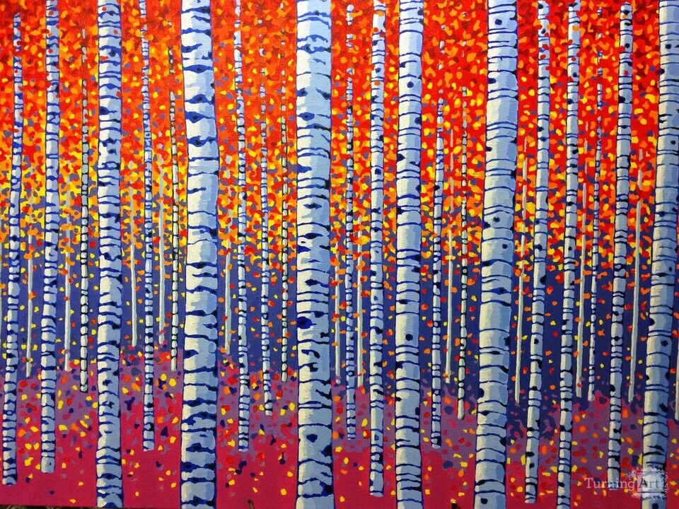 Birch Trees in Fall