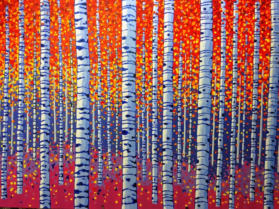 Birch Trees in Fall
