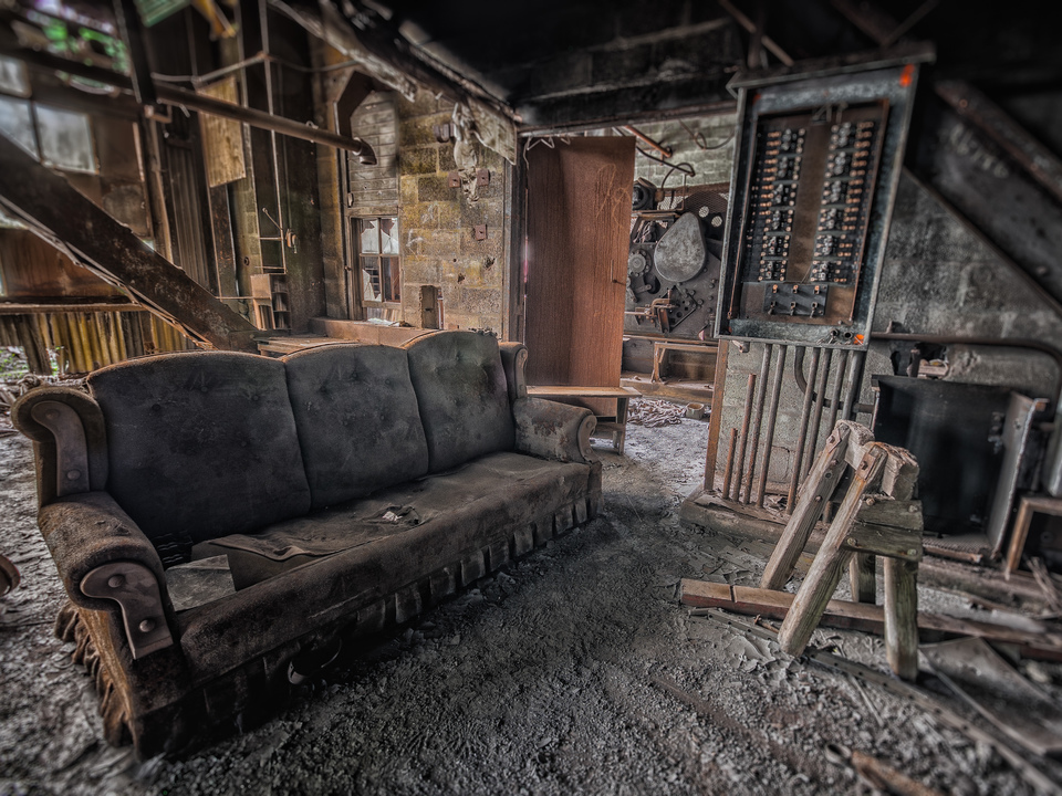 What This Room Needs Is A Nice Ficus