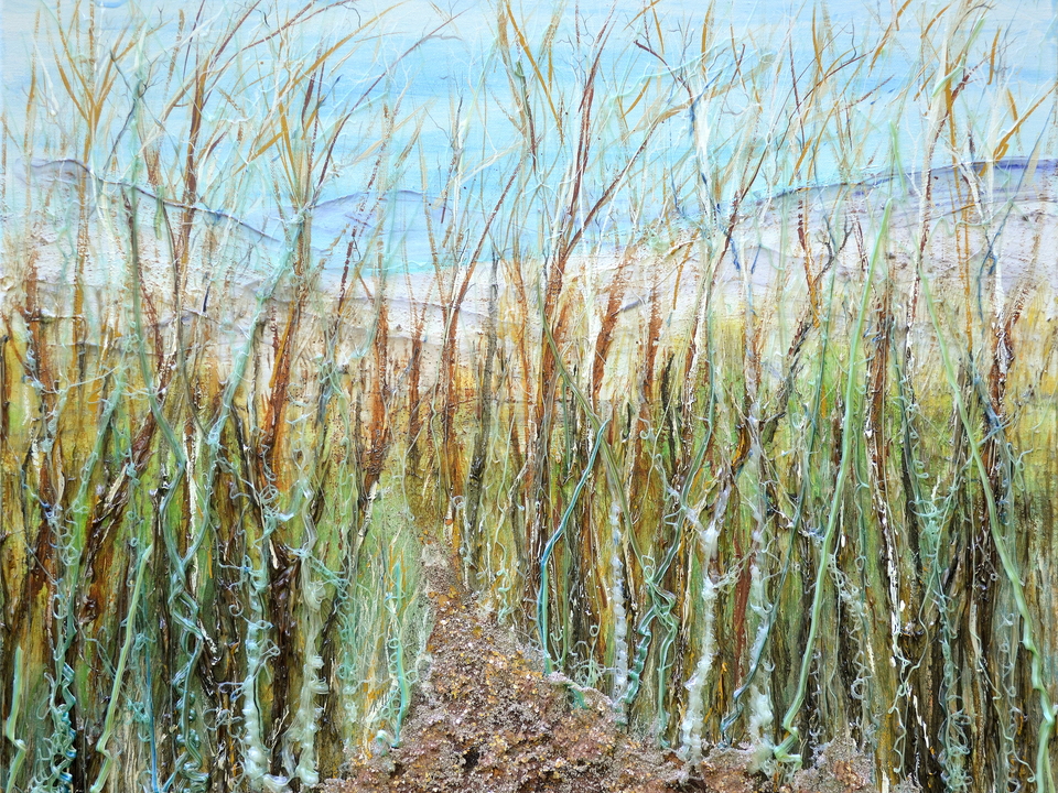 A walk to the Dunes