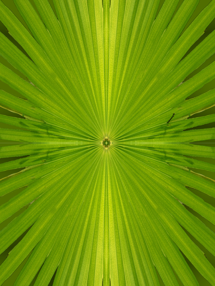 Greenburst