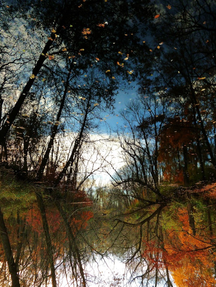 beautiful reflection