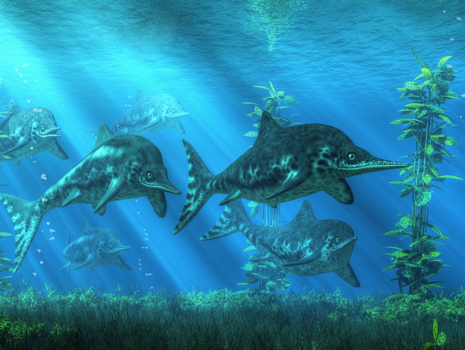 Ichthyosaurs